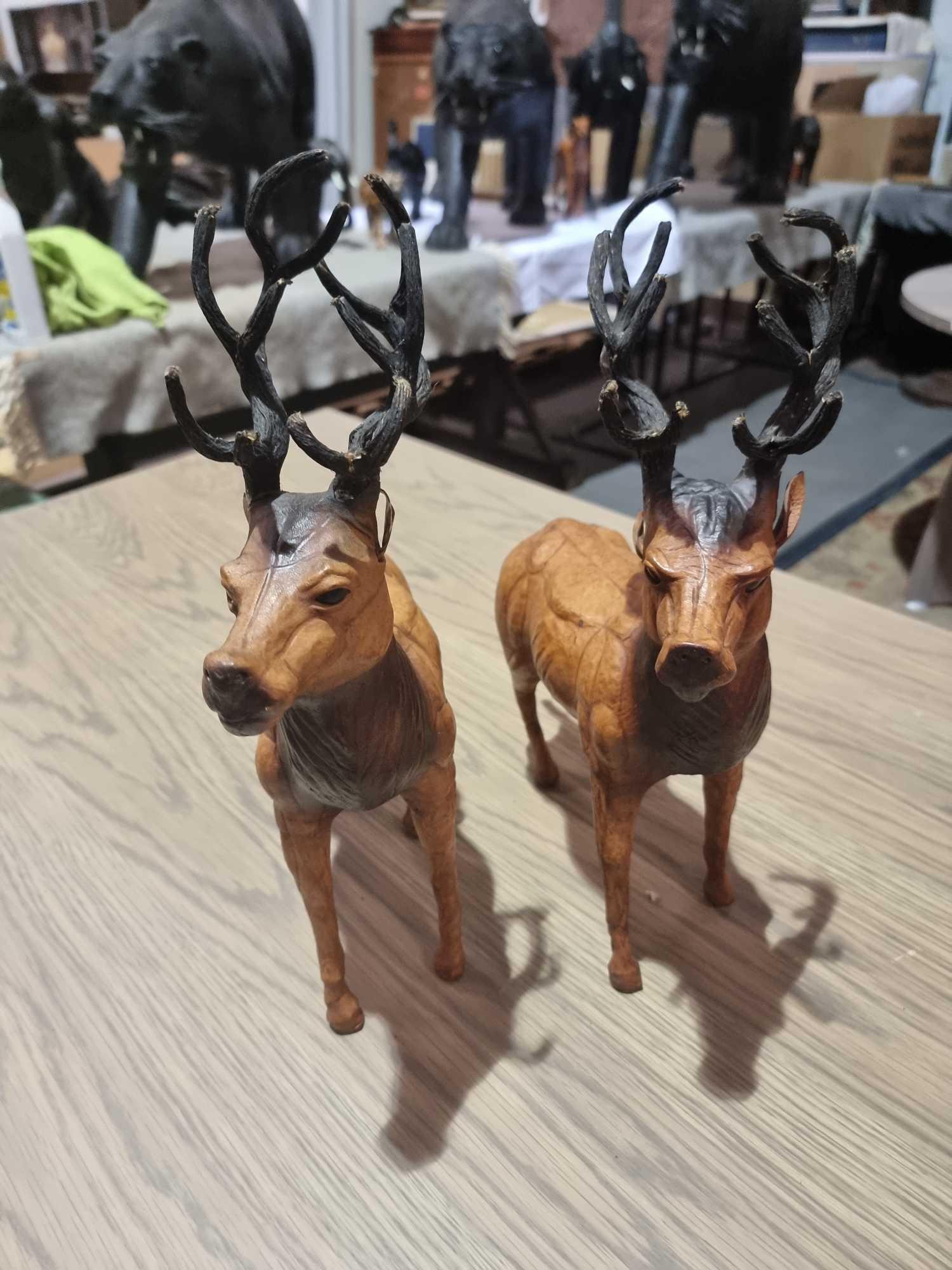 A Set of 2 x Leather Wrapped Deer with Antlers With Glass Eyes The Deer Have Glass Eyes And Is