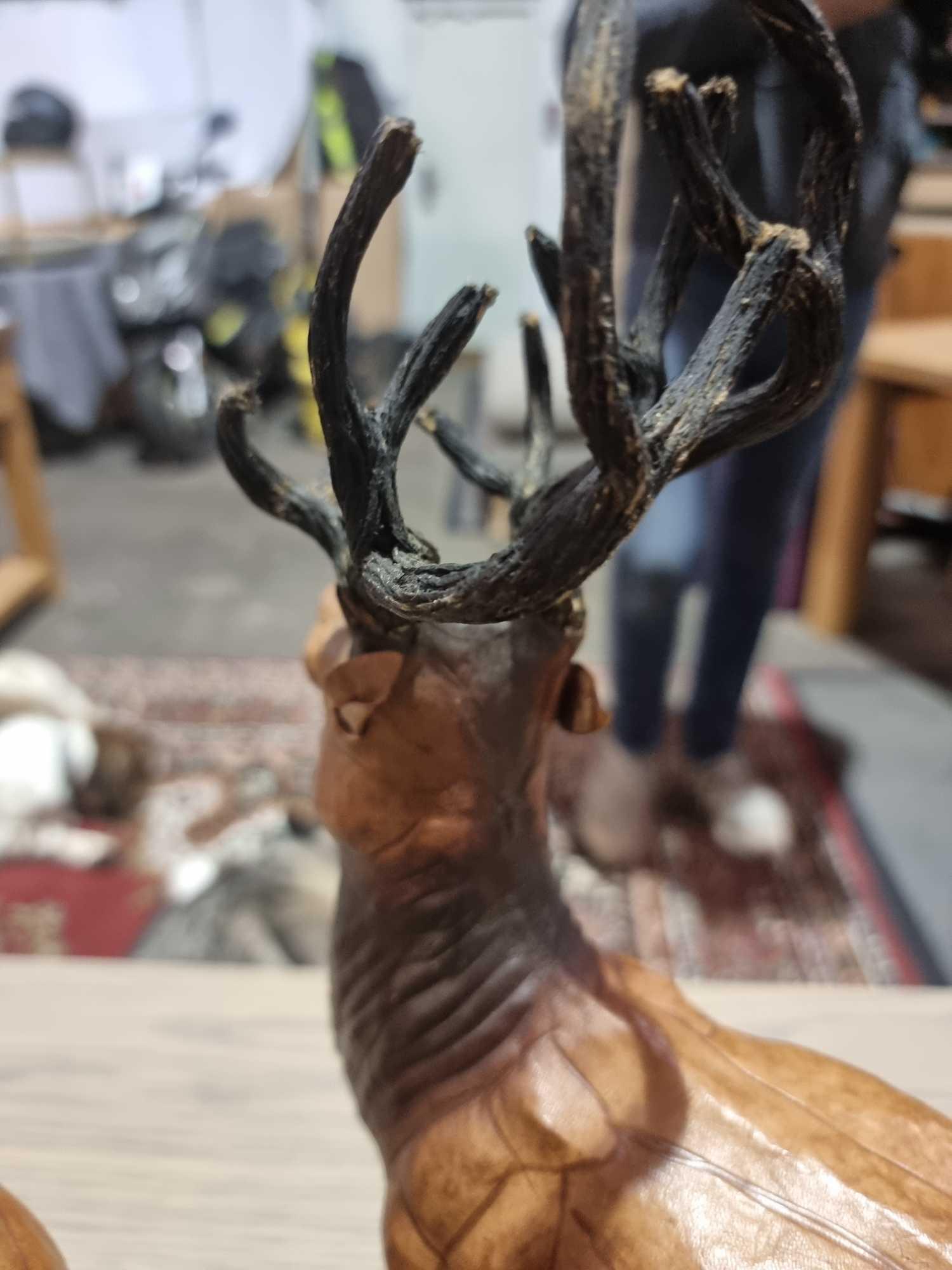 A Set of 2 x Leather Wrapped Deer with Antlers With Glass Eyes The Deer Have Glass Eyes And Is - Image 7 of 9