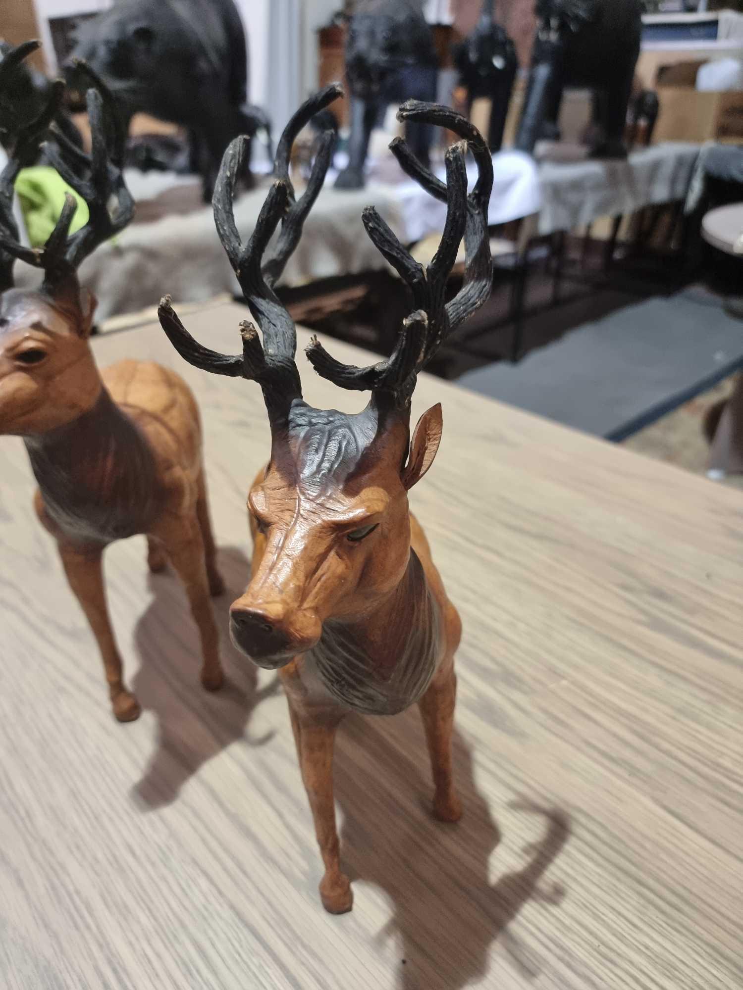 A Set of 2 x Leather Wrapped Deer with Antlers With Glass Eyes The Deer Have Glass Eyes And Is - Image 2 of 9