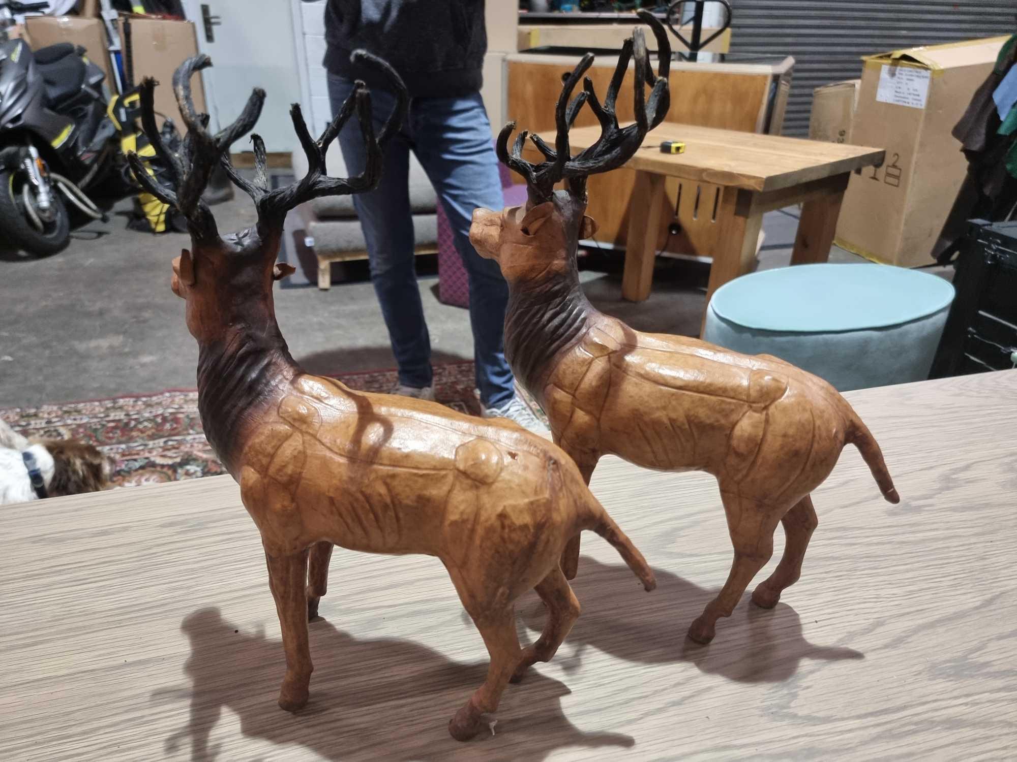 A Set of 2 x Leather Wrapped Deer with Antlers With Glass Eyes The Deer Have Glass Eyes And Is - Image 6 of 9