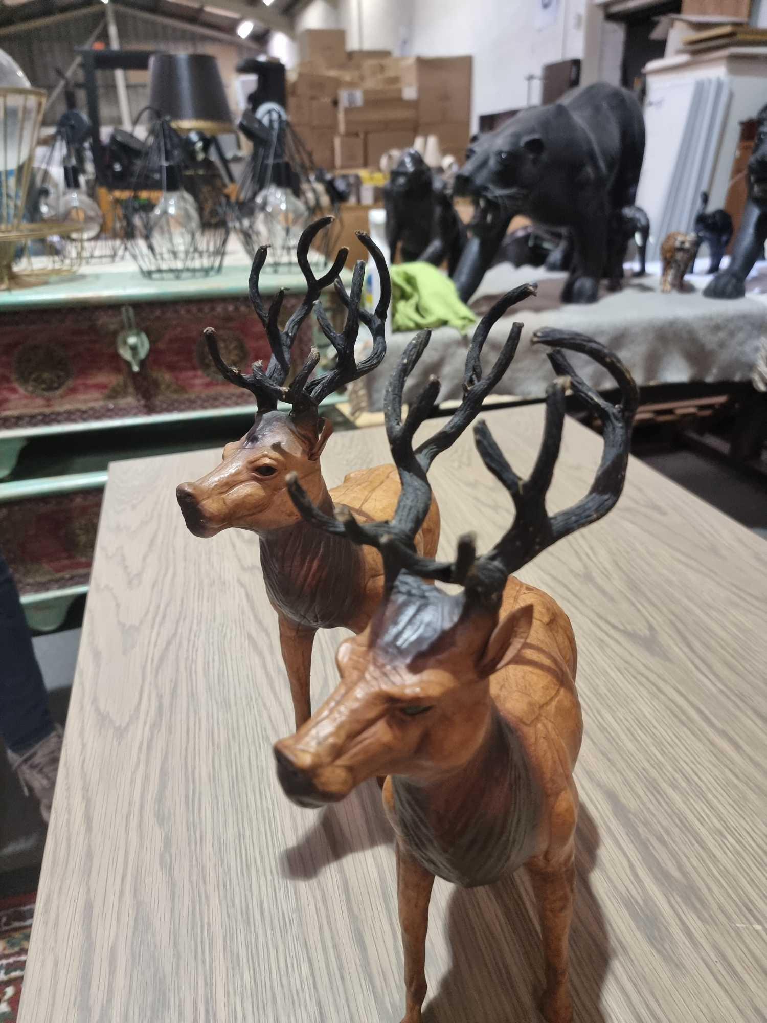 A Set of 2 x Leather Wrapped Deer with Antlers With Glass Eyes The Deer Have Glass Eyes And Is - Image 9 of 9