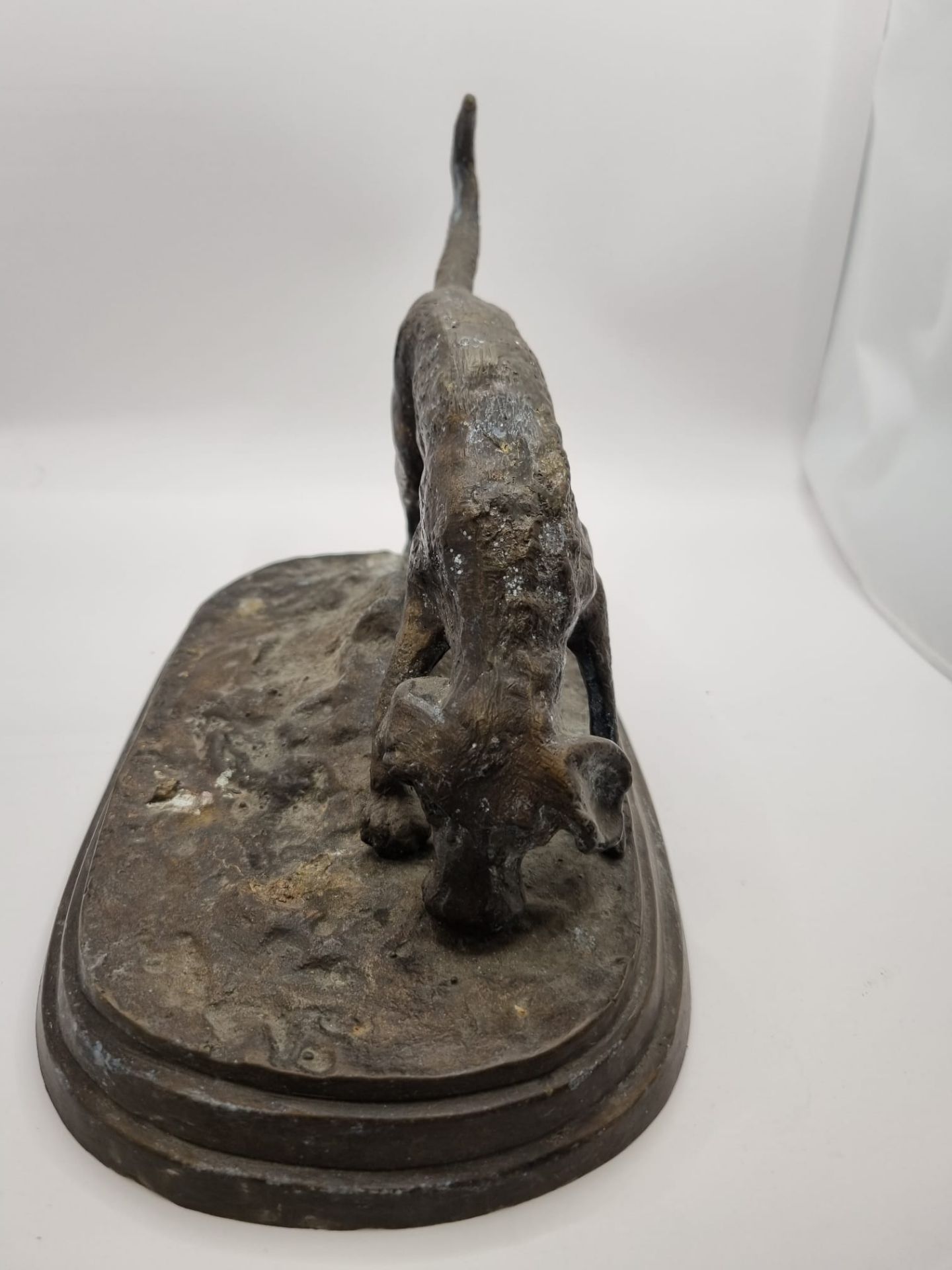 Cold cast bronze of a Labrador dog 24 cm wide x 16cm height 18cm - Image 4 of 4