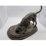 Cold cast bronze of a Labrador dog 24 cm wide x 16cm height 18cm