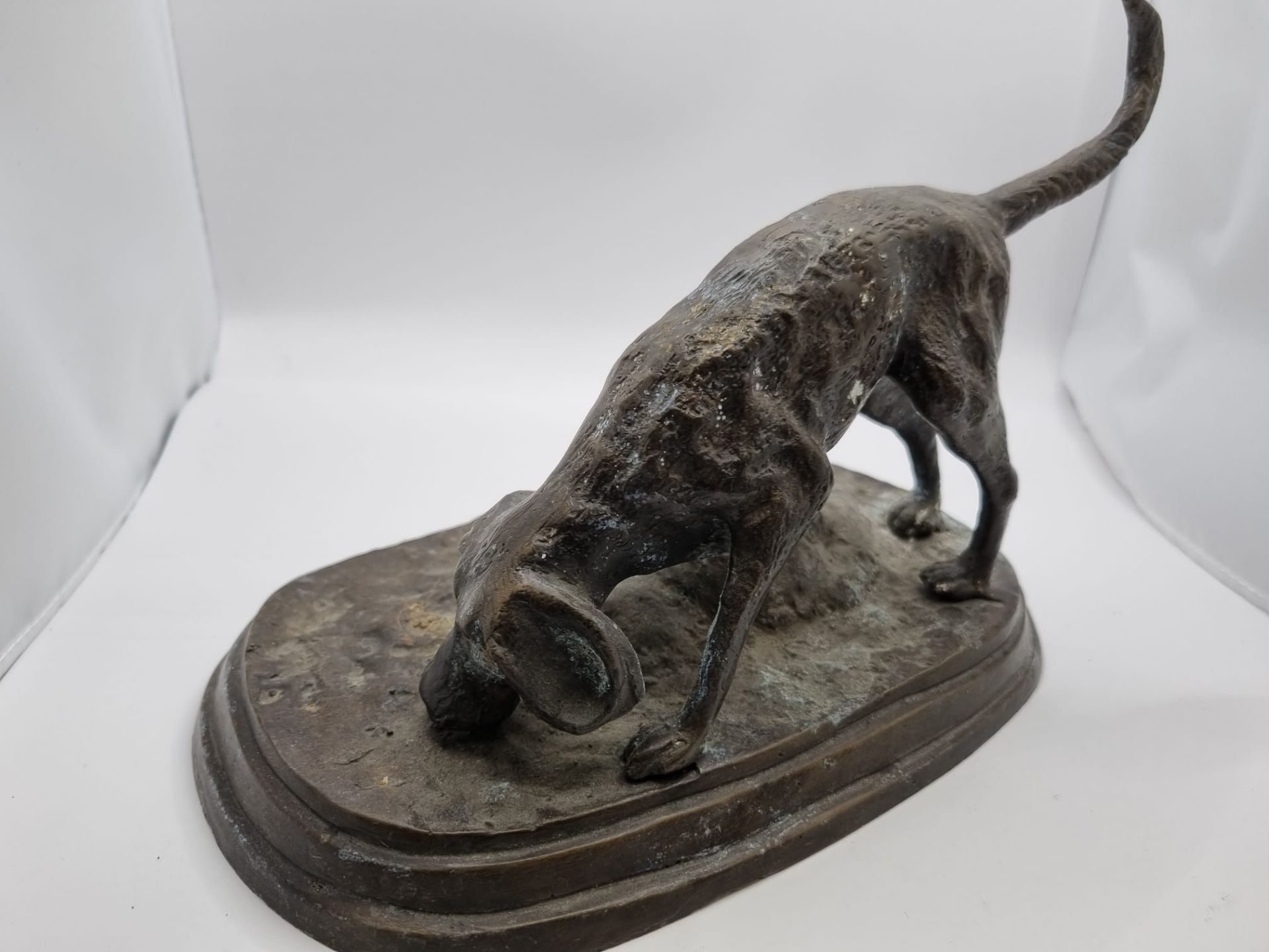 Cold cast bronze of a Labrador dog 24 cm wide x 16cm height 18cm