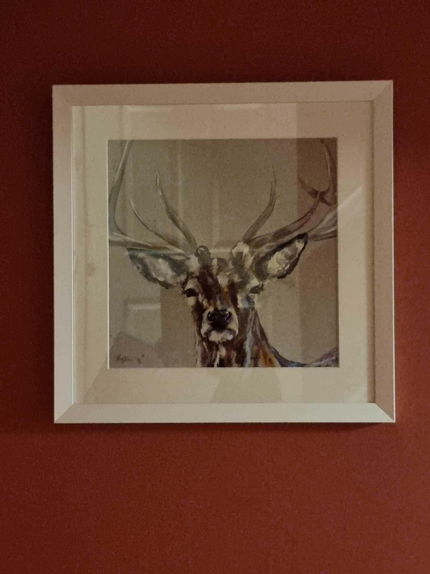 Rufus By Louise Luton Limited Edition 25/50 In A Glazed White Wood Modern Frame Born In Salisbury In