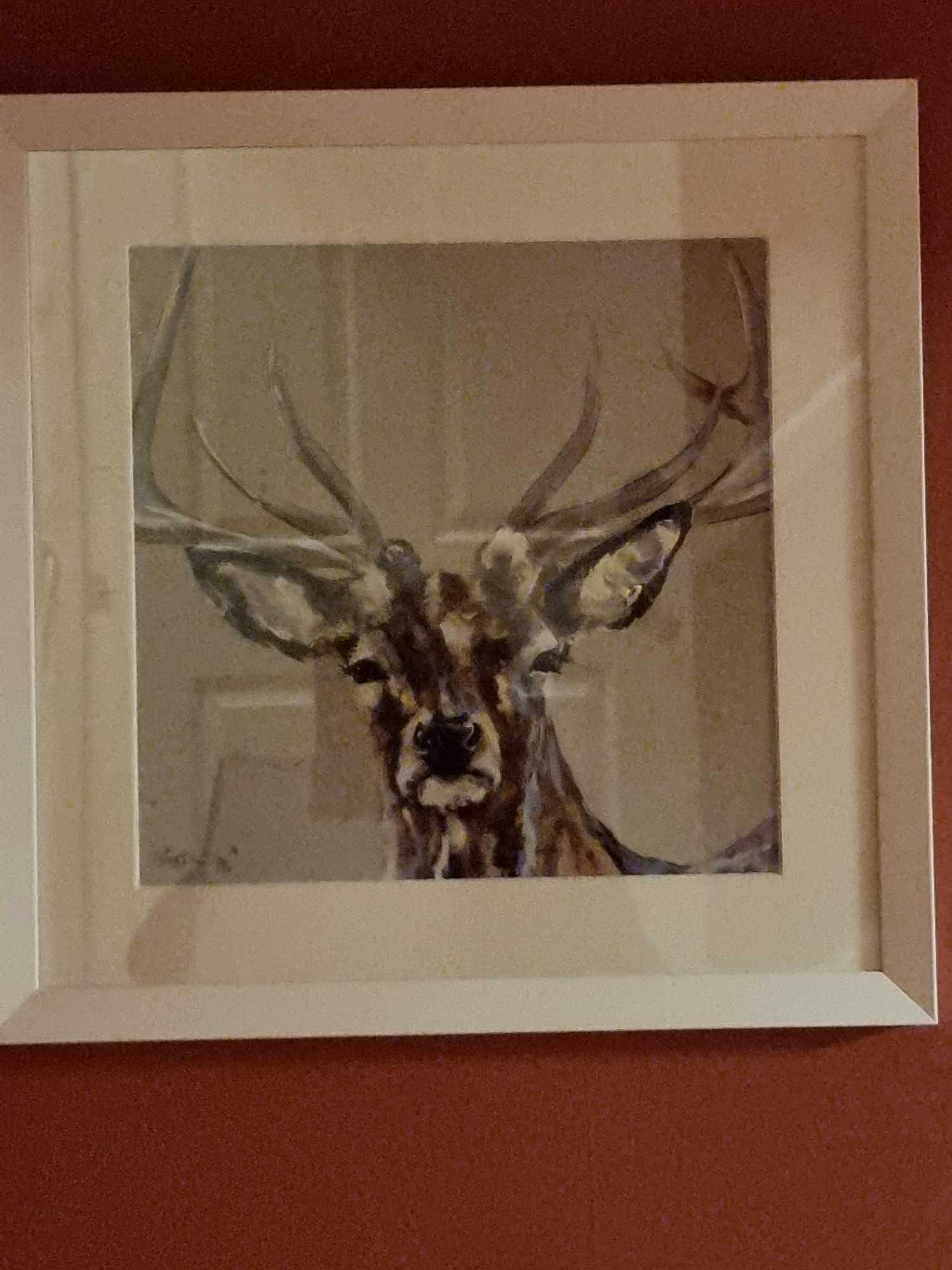 Rufus By Louise Luton Limited Edition 25/50 In A Glazed White Wood Modern Frame Born In Salisbury In - Image 2 of 3