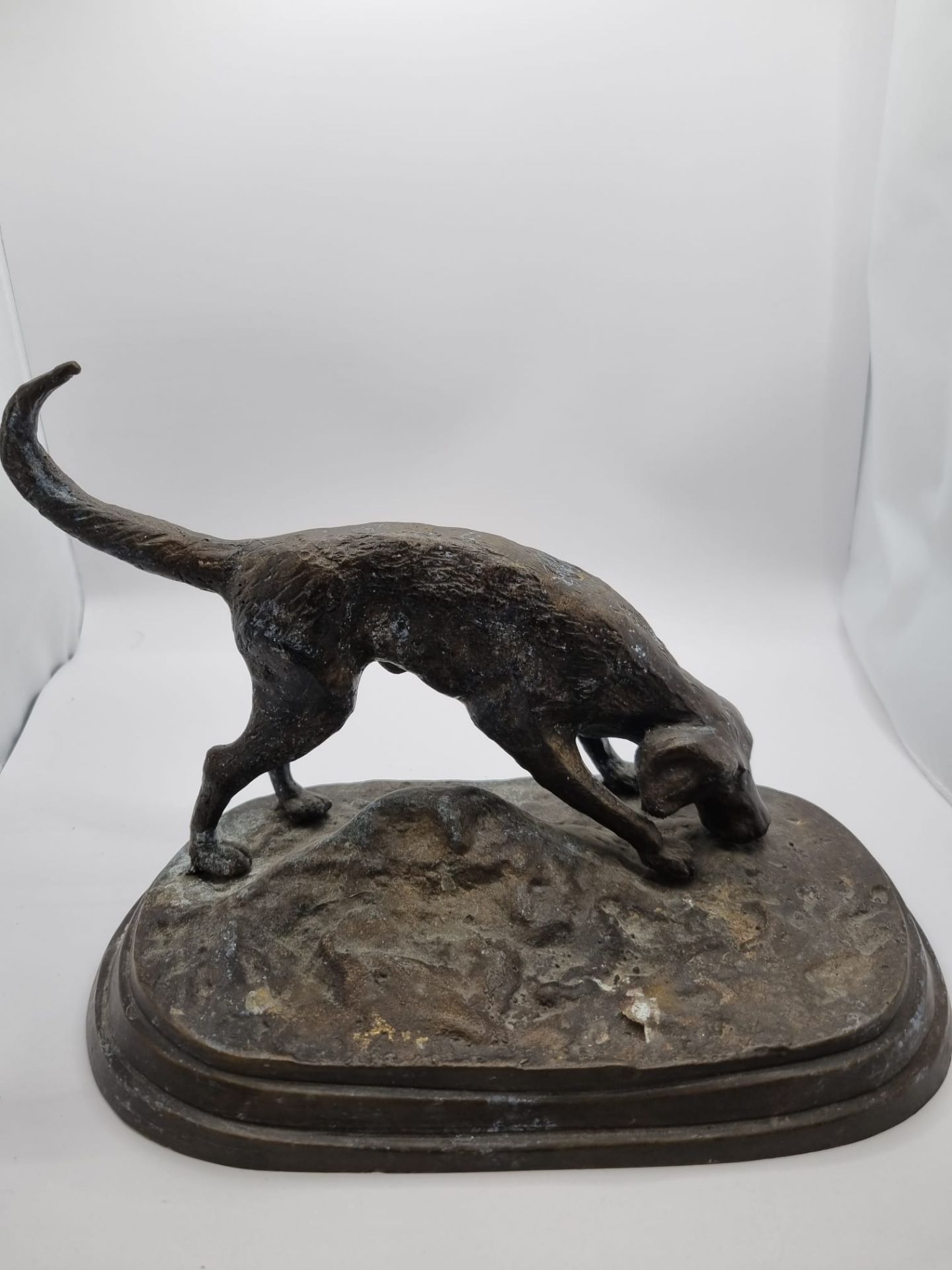 Cold cast bronze of a Labrador dog 24 cm wide x 16cm height 18cm - Image 3 of 4