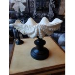 Giant Clam Shell On Stand Objets d'Art Decorative Accessories Depicting A Giant Clam On Stand 15 X