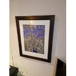 Audrey Scovell (British) framed art work titled Aconitum blue wave Artist Proof in walnut coloured