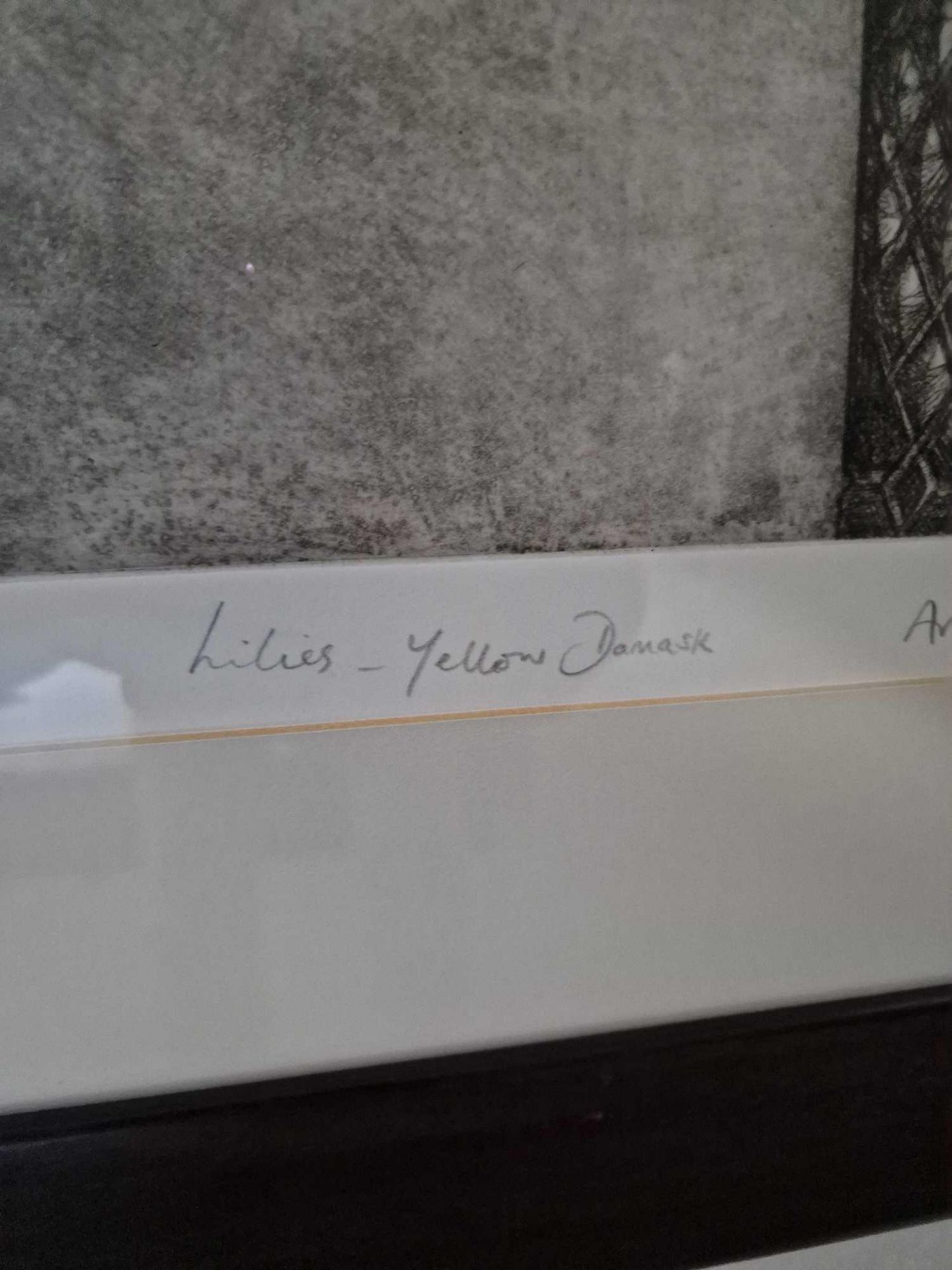 Audrey Scovell (British) framed art work titled Lillies Yellow Damask Artist Proof in walnut - Bild 3 aus 5