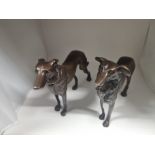 A pair of cast bronze Saluki dog sculptures 16cm tall each Longest is 28cm and shortest is 24cm