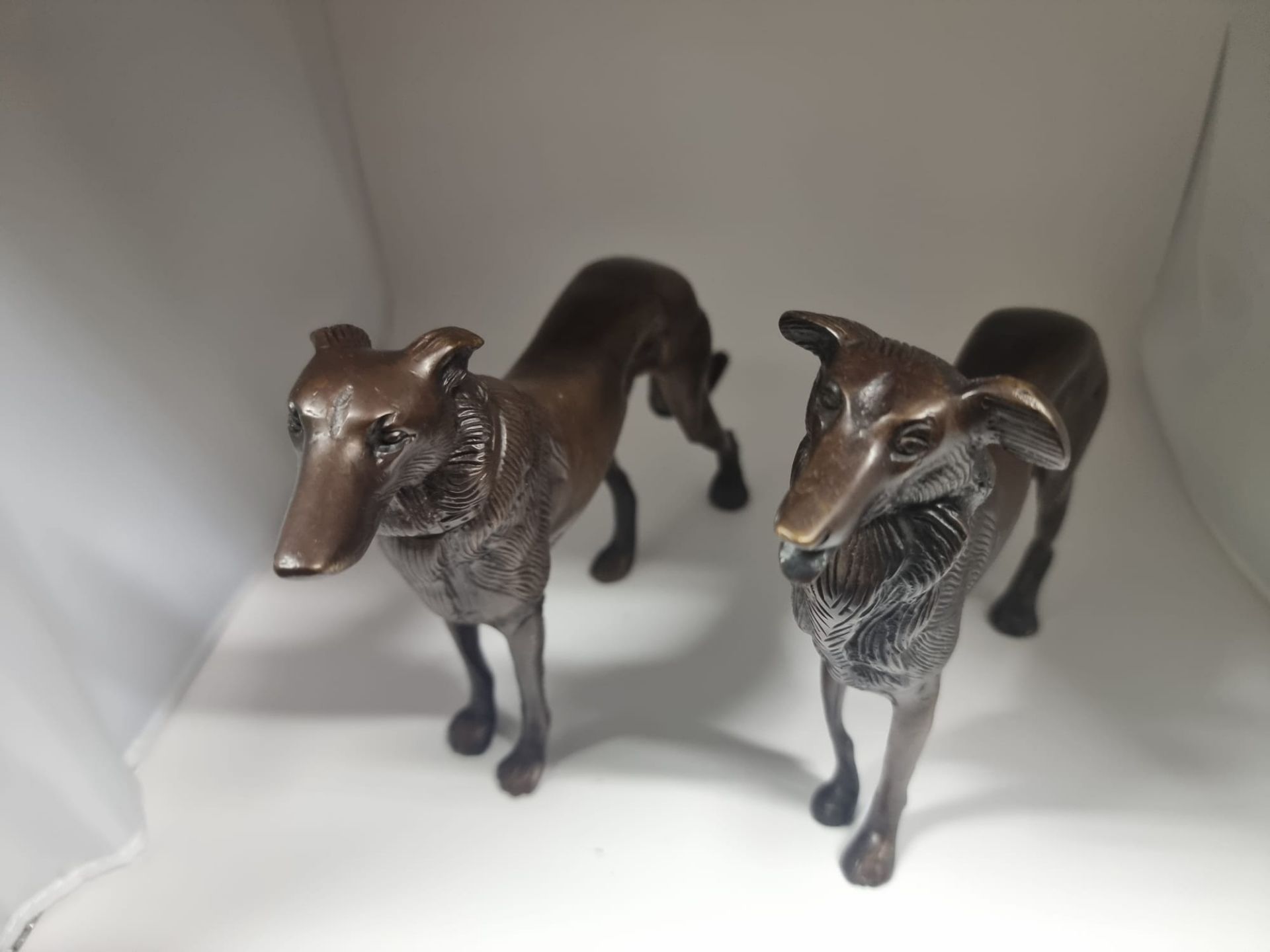 A pair of cast bronze Saluki dog sculptures 16cm tall each Longest is 28cm and shortest is 24cm