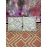 A pair of Silver silkeen patterned cushions 45 x 45cm