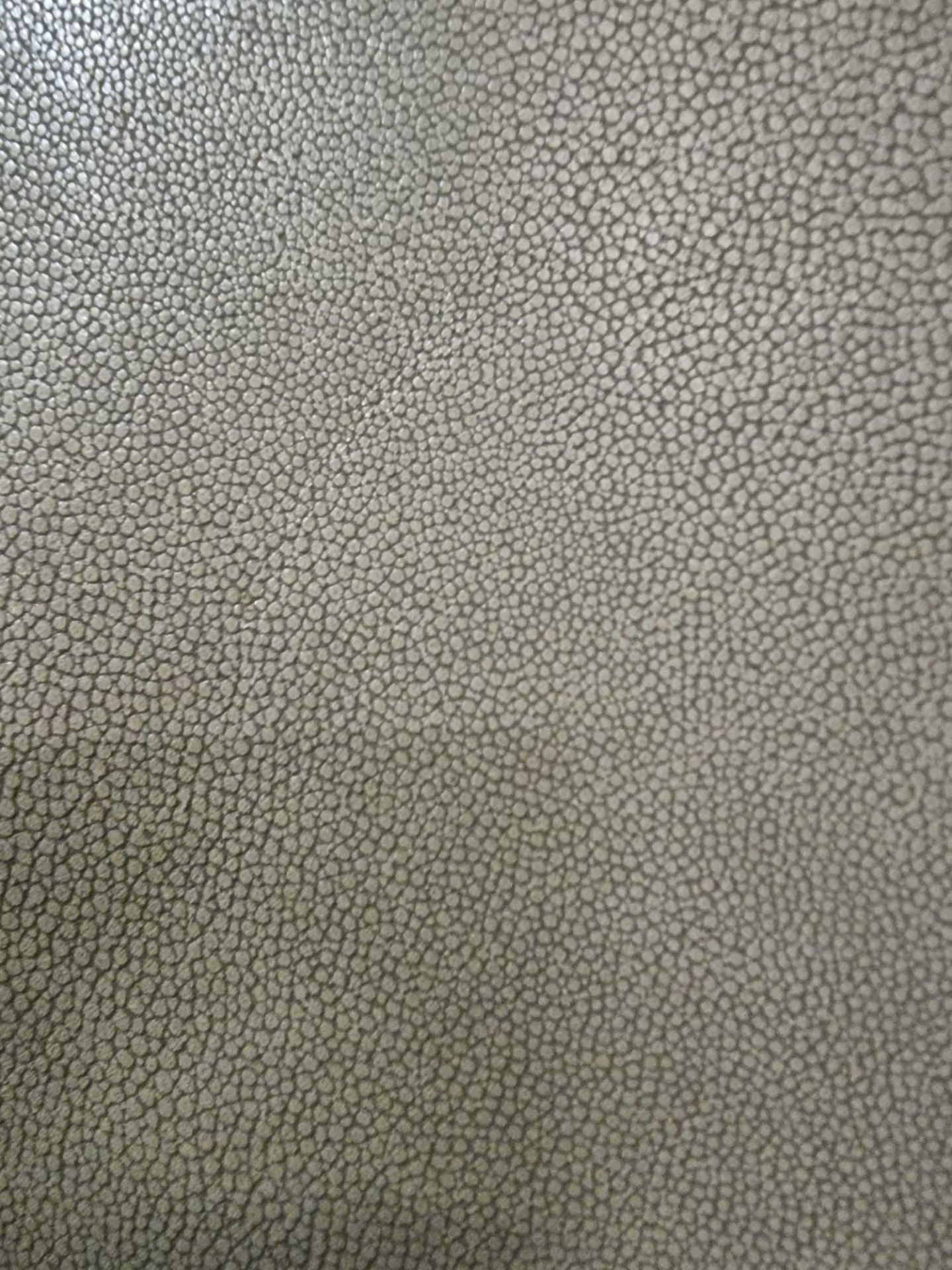 Sage Leather Hide approximately 3 78M2 2 1 x 1 8cm ( Hide No,207) - Image 2 of 2