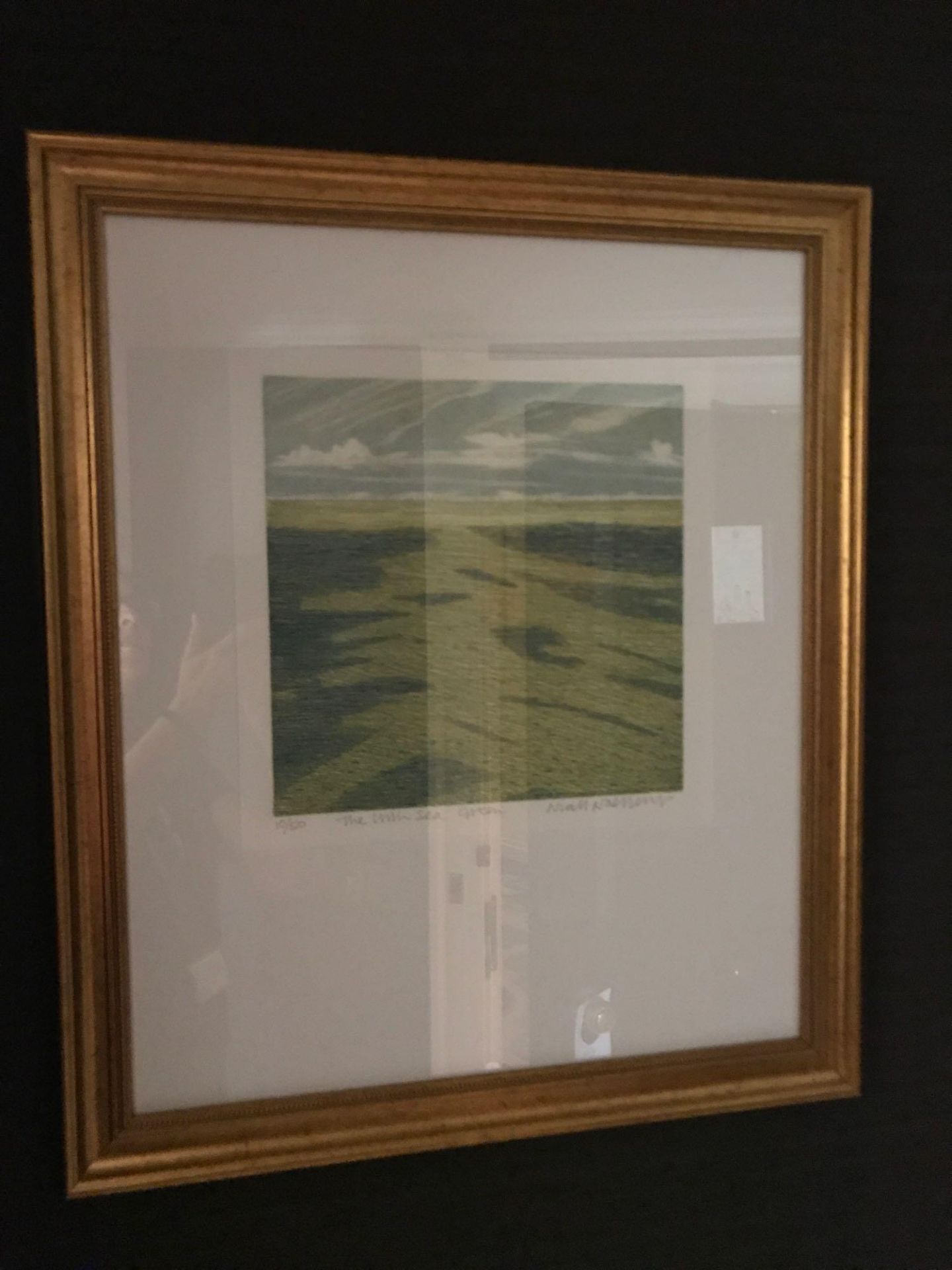 Niall Naessens (Irish) Limited Edition Etching Titled The Irish Sea Green 10 Of 50 Titled Signed And