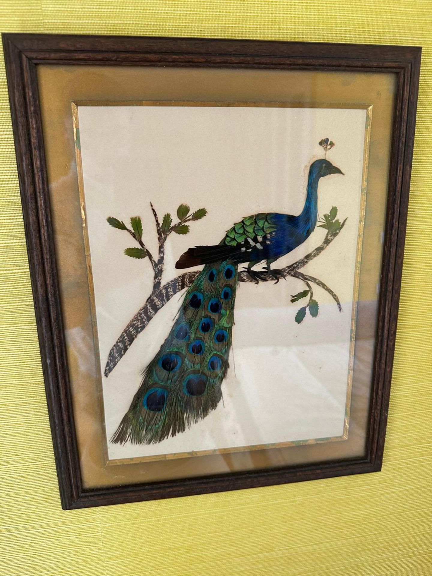 Two vintage framed Georgian Silk works depicting Peacocks (circa 1950s glazed and framed 32 x - Bild 2 aus 3