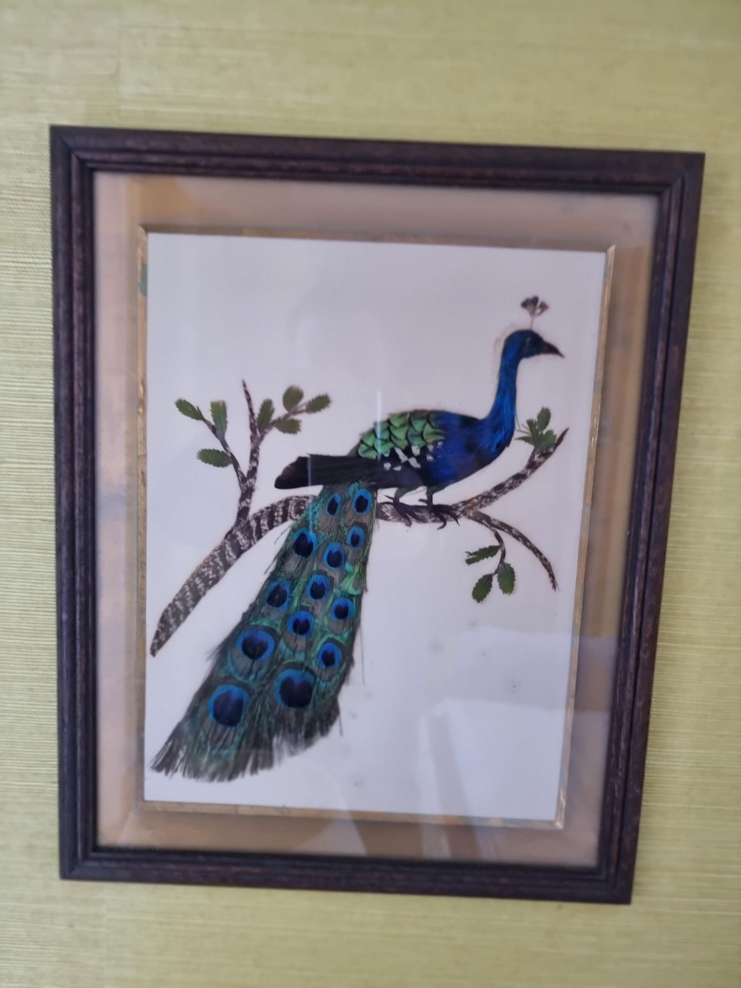 Two vintage framed Georgian Silk works depicting Peacocks (circa 1950s glazed and framed 32 x