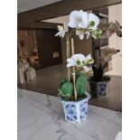 Artificial Silk Phalaenopsis (Orchid) In A Blue/White China Pot 40cm (Apt 10)