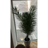 Artificial Areca Palm (Apt 10)