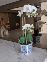 Artificial Silk Phalaenopsis (Orchid) In A Blue/White China Pot 40cm (Apt 10)
