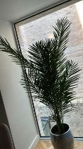 Artificial Areca Palm (Apt 10)