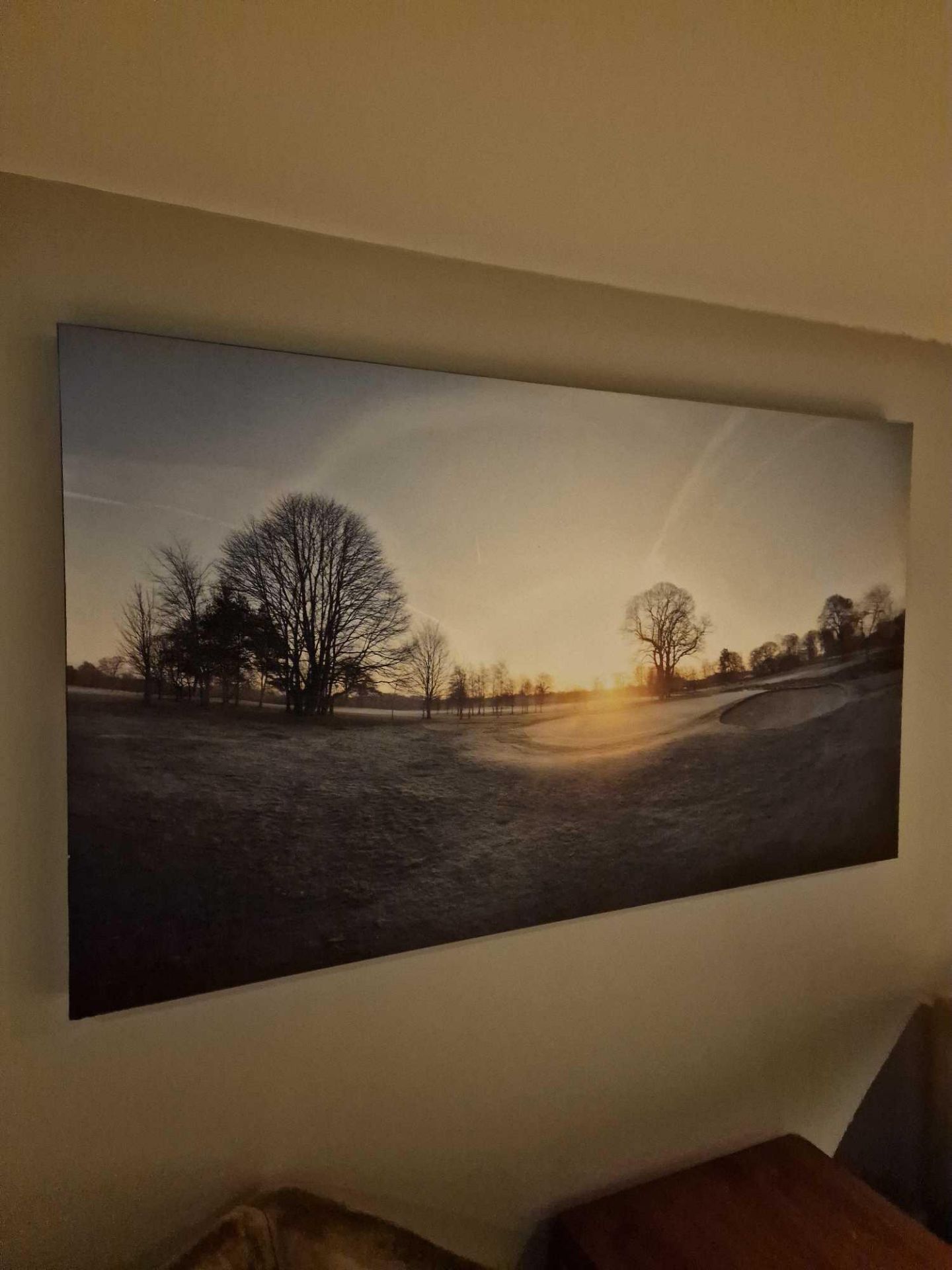 Box framed wall art landscape 170 x 98cm ( Location: Corridor )