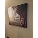 2 x wall prints landscape 80 x 50 / 80 x 74cm ( Location : 225)
