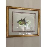 Print of fish drawn on paper in gold frame