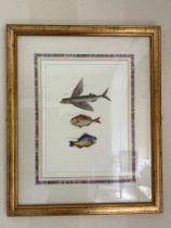 Print of three fish drawn on paper in gold frame