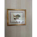 Print of two fish drawn on paper in gold frame