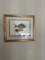 Print of two fish drawn on paper in gold frame