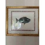 Print of fish drawn on paper in gold frame