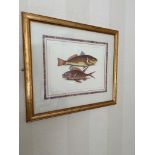 Print of two fish drawn on paper in gold frame