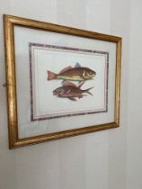 Print of two fish drawn on paper in gold frame