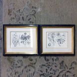 2 x Botanical Studies Glazed And Framed Prints 37 x 42cm