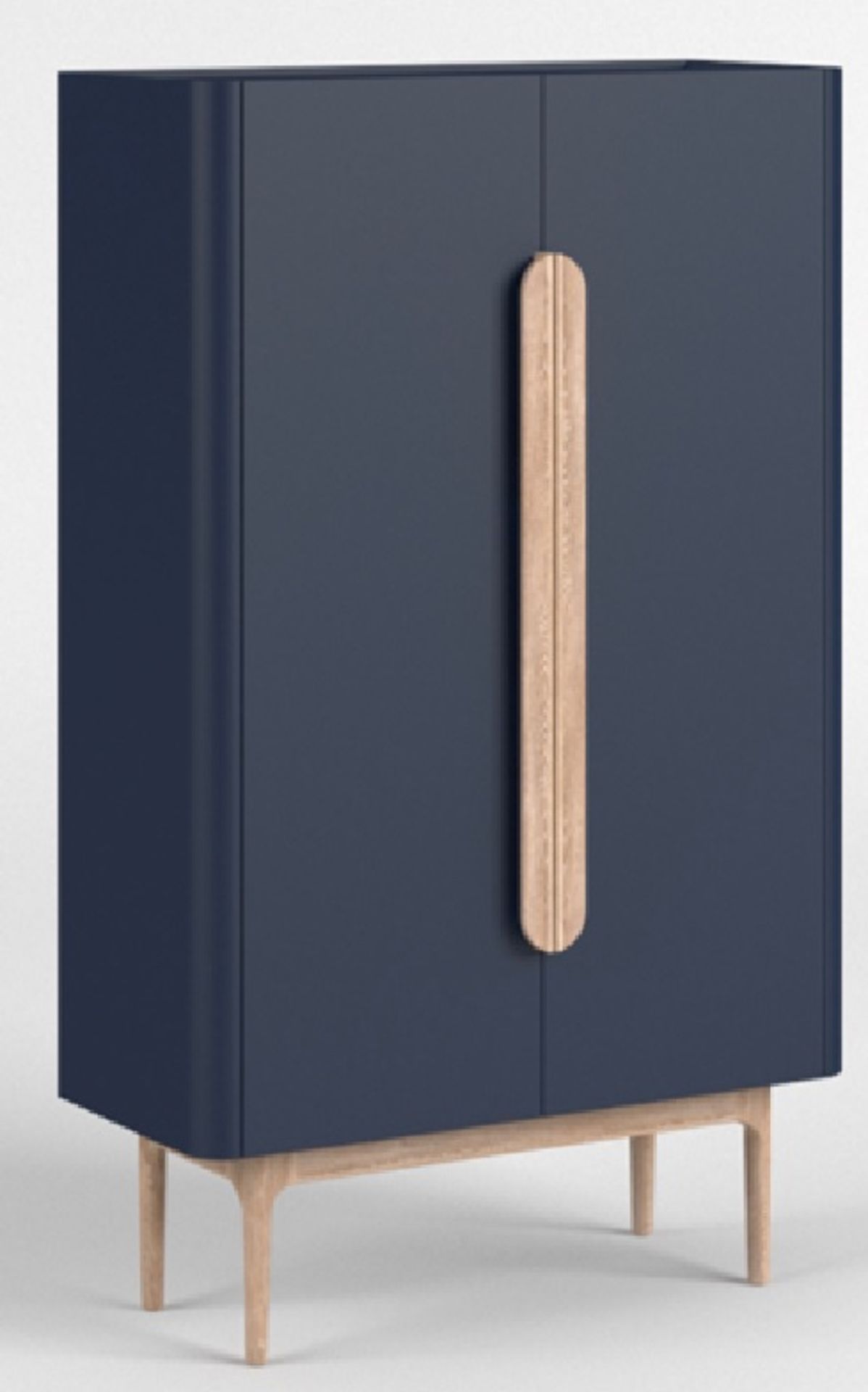 Horsen Scandi 2 Door Cabinet- Finished In Midnight Blue With Solid Oak Handles And Frame This