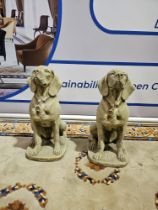 A pair of Life Size Hound Statues the perfect outdoor ornamental addition for your entryways, patio,