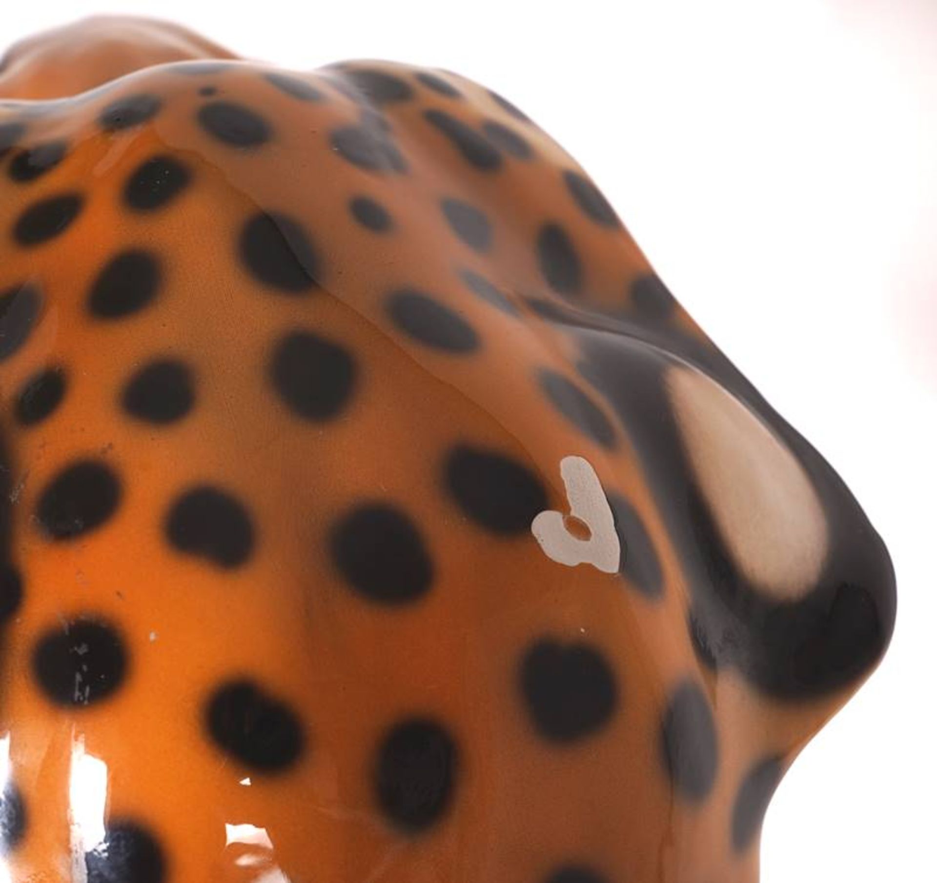 Leopard - Bild 5 aus 7