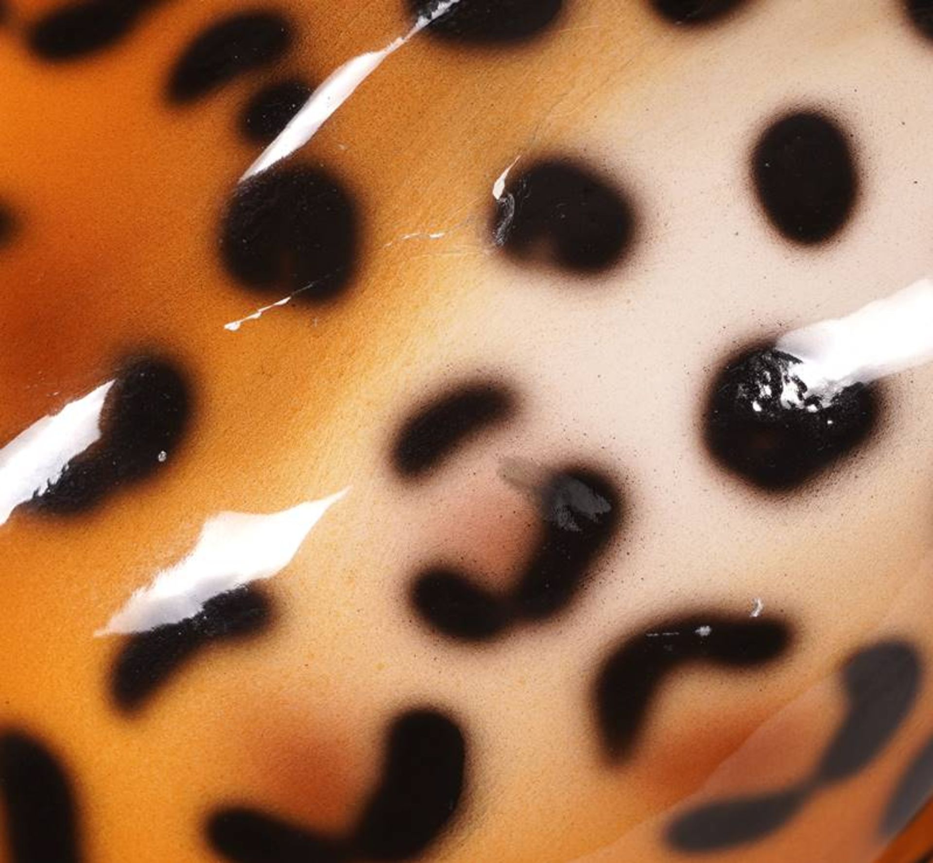 Leopard - Bild 6 aus 7