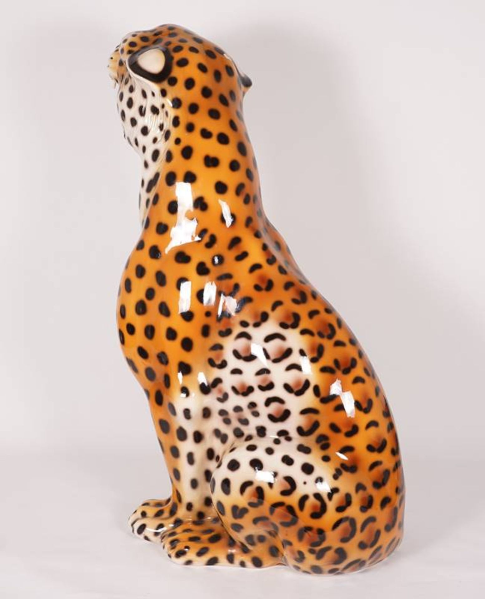 Leopard - Bild 4 aus 7