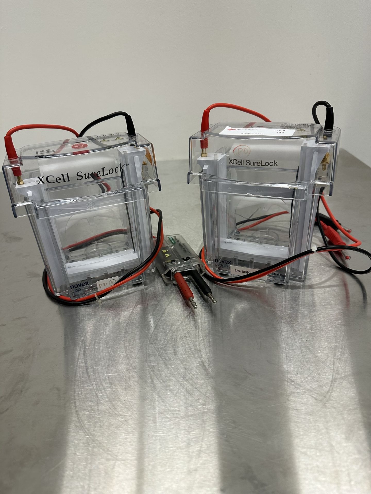 Lot of (2) Mini-Cell Electrophoresis Systems - Image 2 of 4