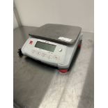 Ohaus Bench Scale