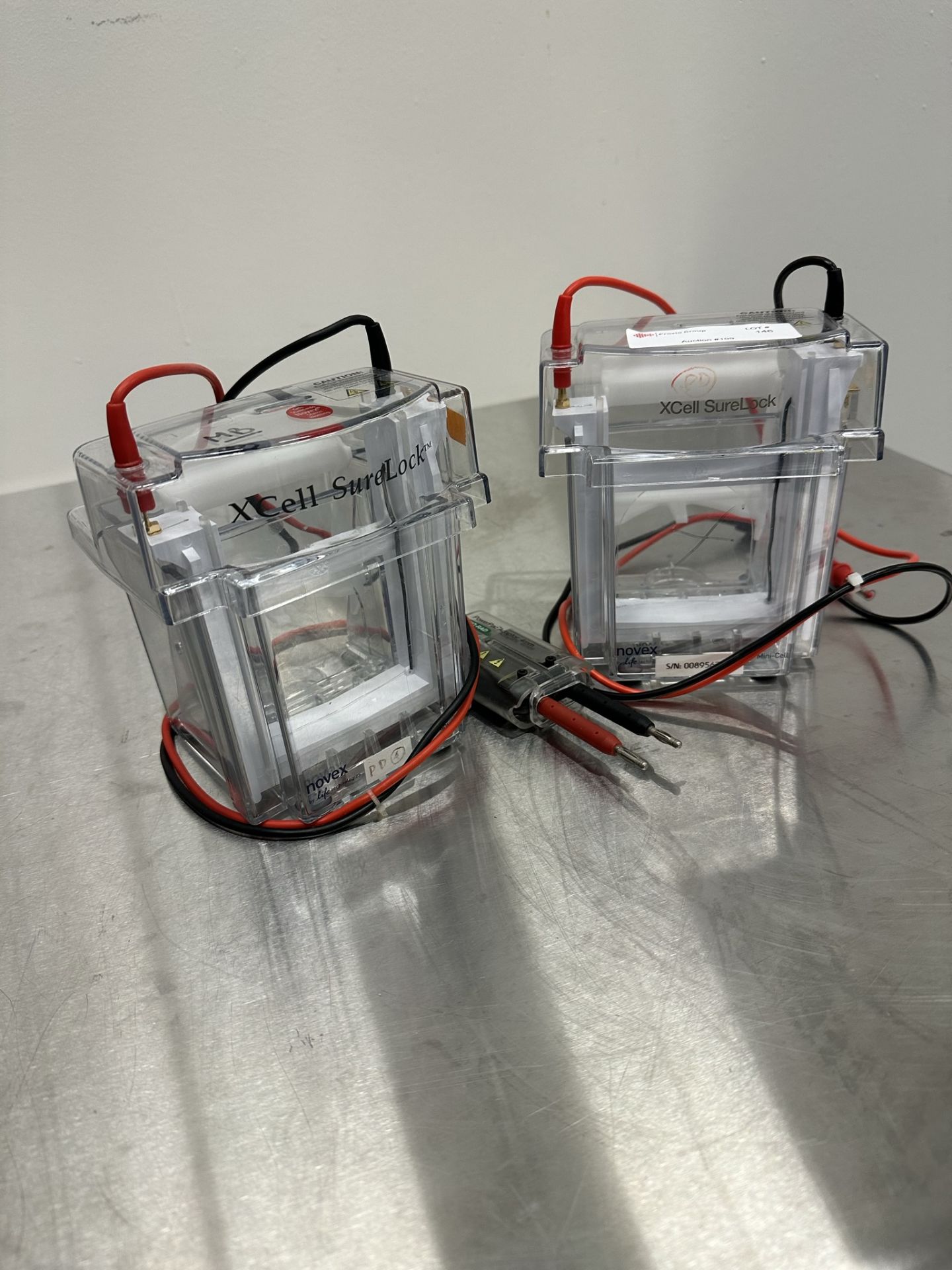 Lot of (2) Mini-Cell Electrophoresis Systems