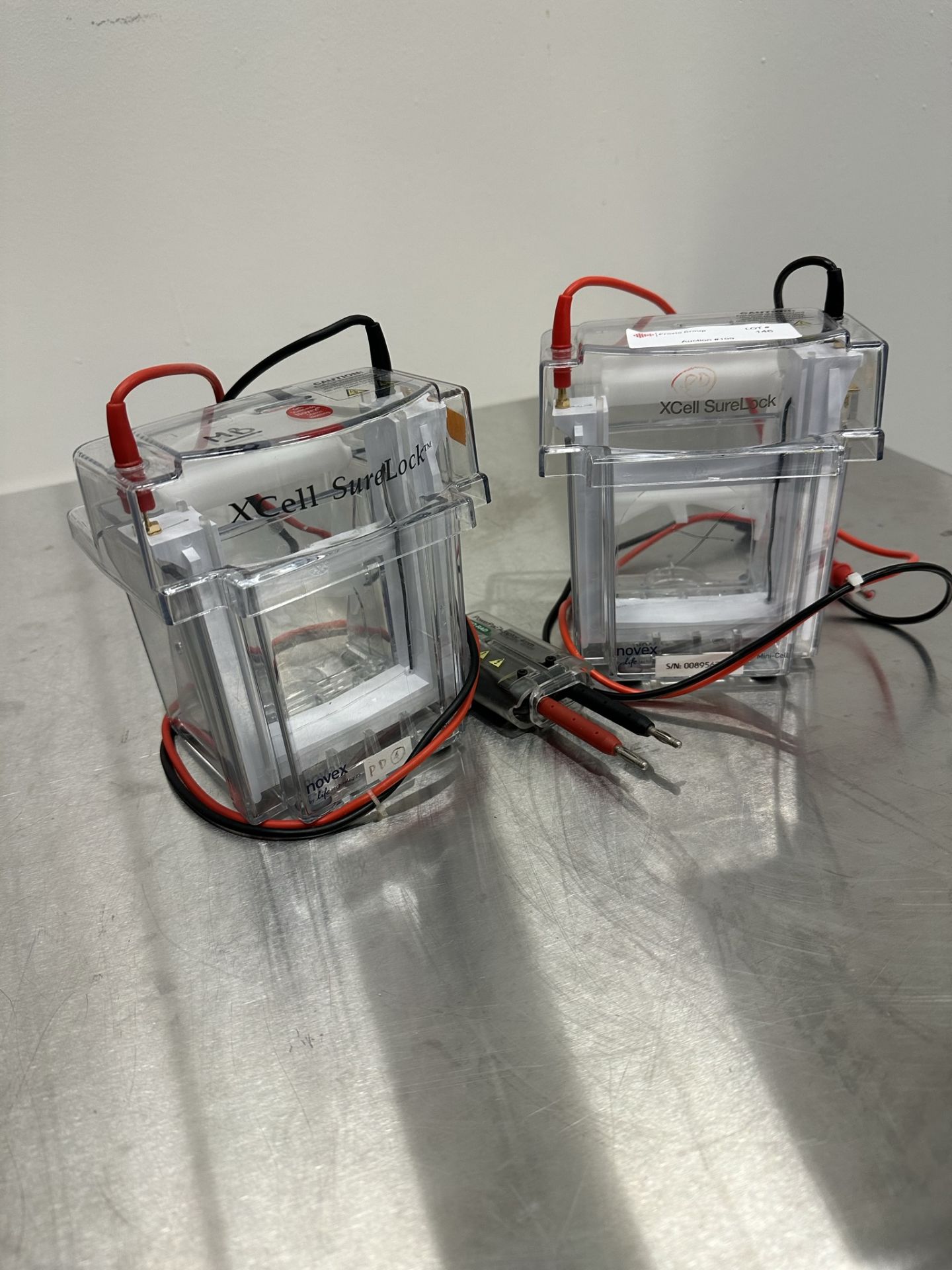 Mini-Cell Electrophoresis Systems