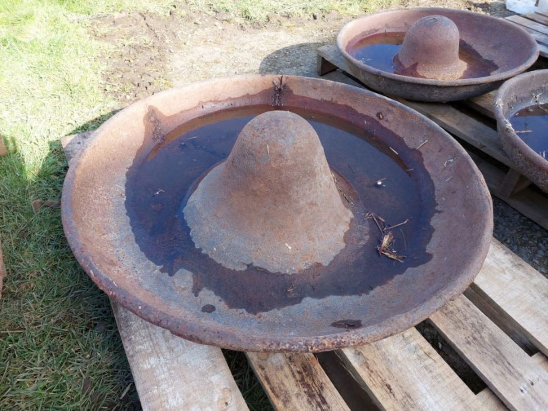 Mexican hat feeder