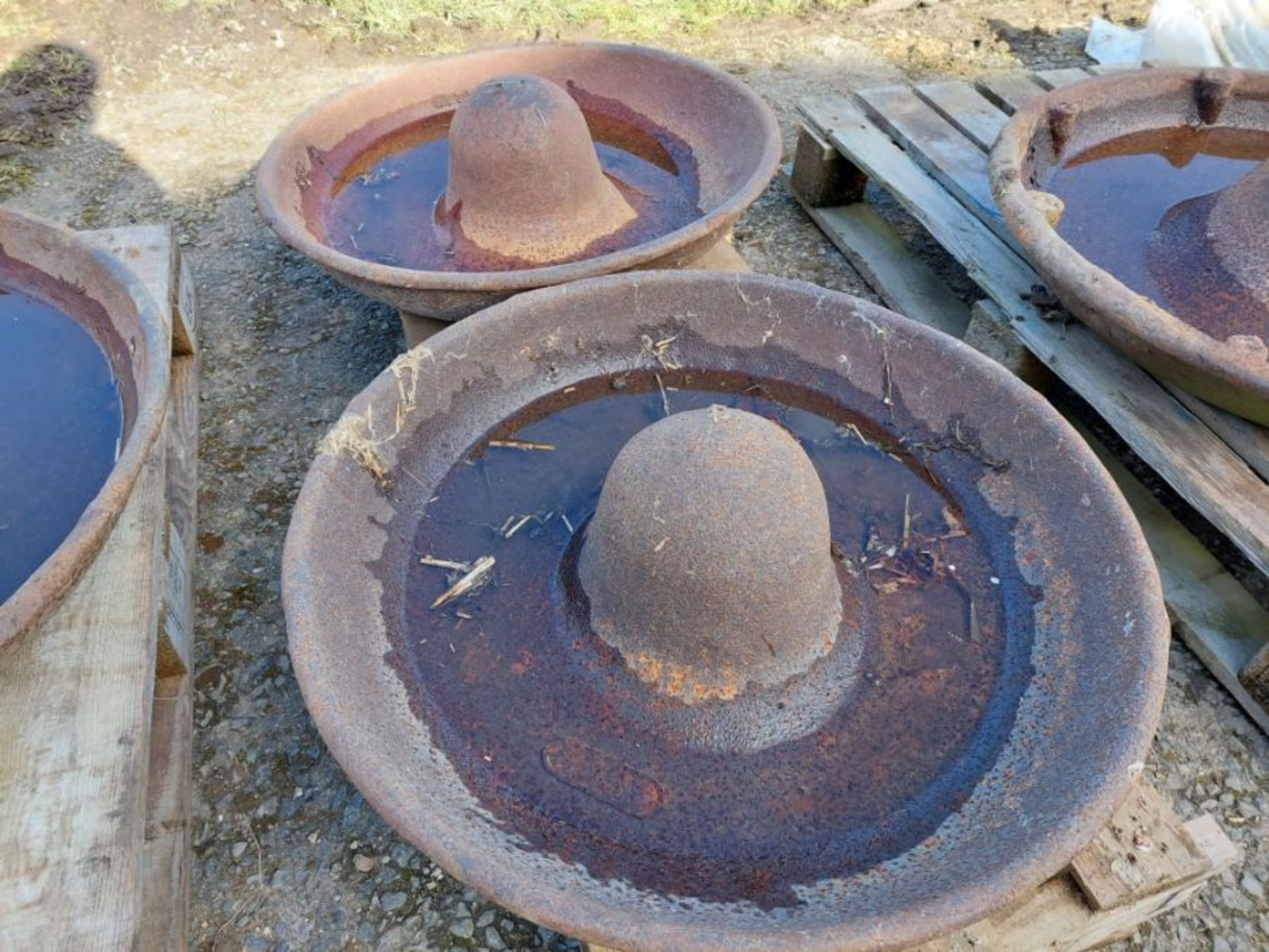 Pair of Mexican hat feeders