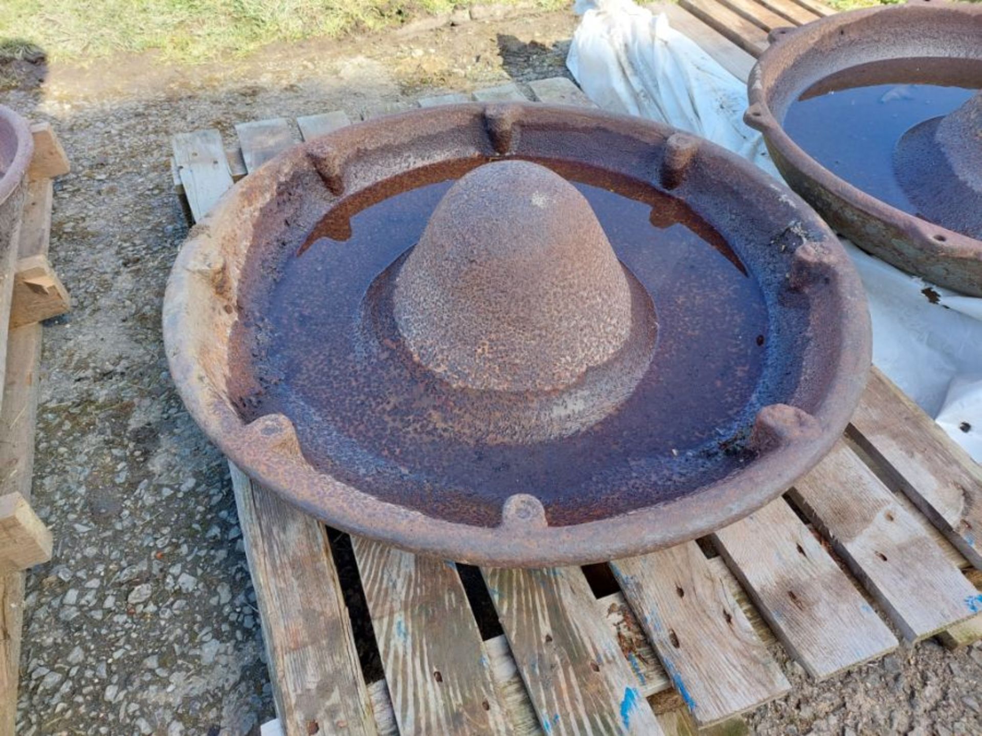 Mexican hat feeder