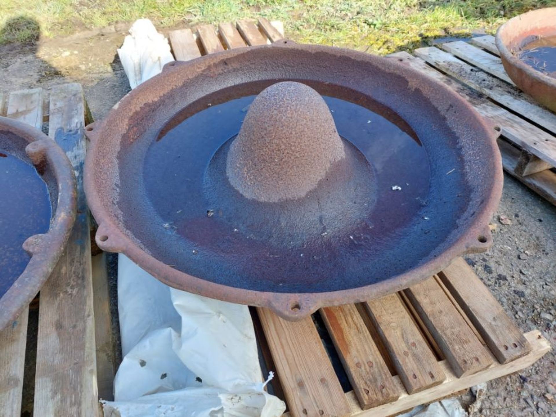 Mexican hat feeder