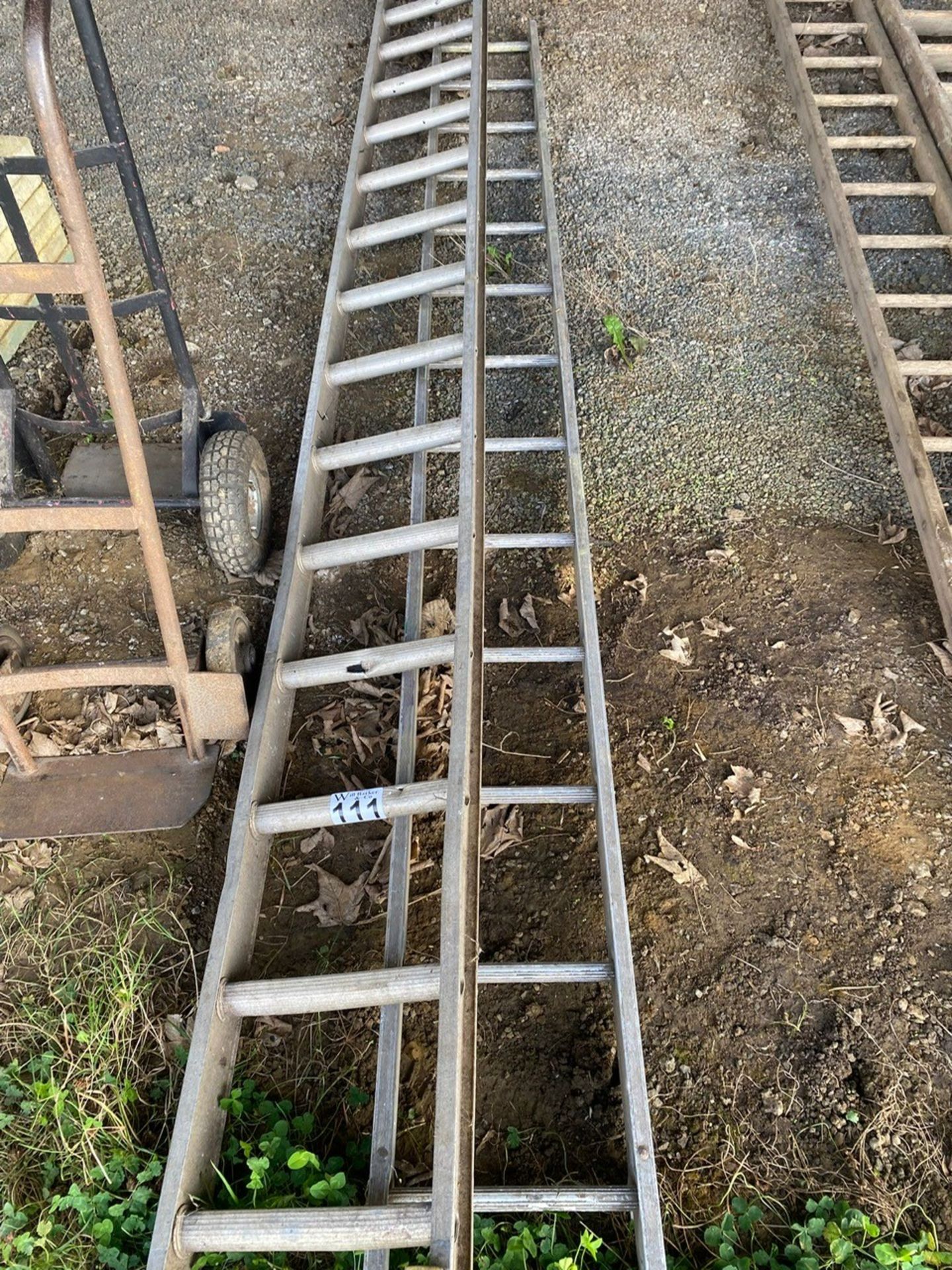 Qty of aluminium ladders