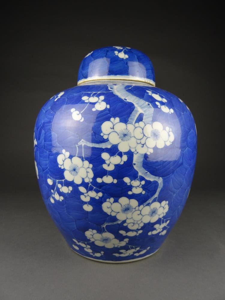 Large porcelain Blue and White pot